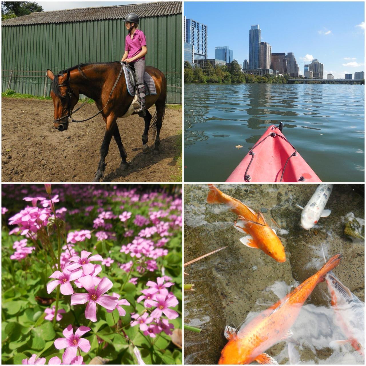 Geniune Pre-Owend Nikon Coolpix S6500 Digital Camera