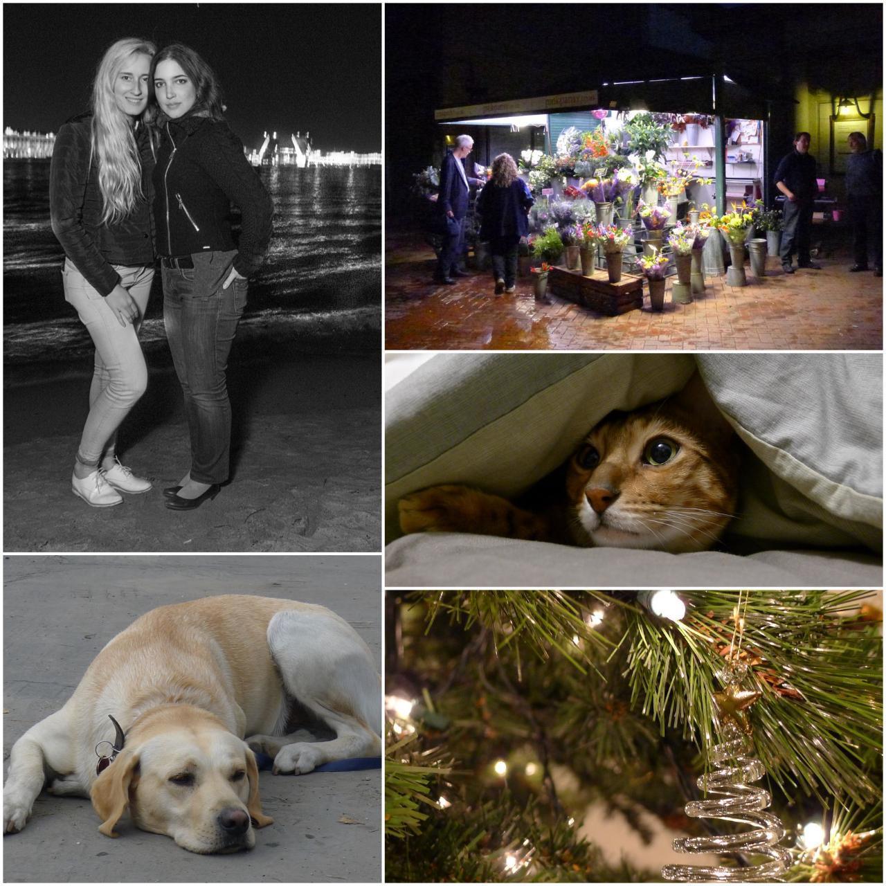 Geniune Pre-Owend Panasonic Lumix LX7 Digital Camera