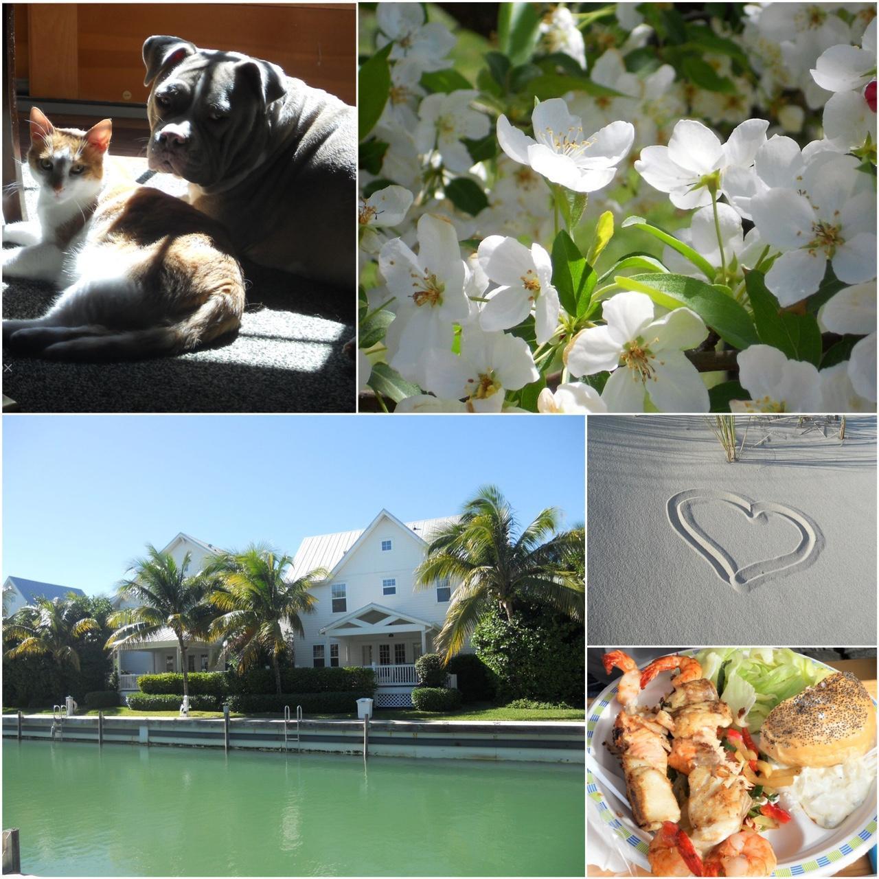 Geniune Pre-Owend Nikon Coolpix S3000 Digital Camera