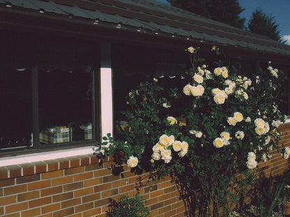 Geniune Fujifilm Finepix Z5 Cute y2k Aesthetic Decorated Digicam PreOwned