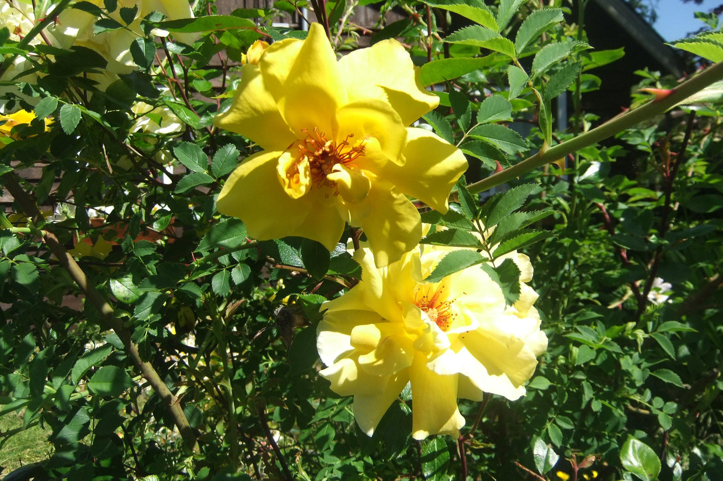 Geniune Fujifilm Finepix JZ310 y2k aesthetic decorated digicam with beaded strap, full set PreOwned