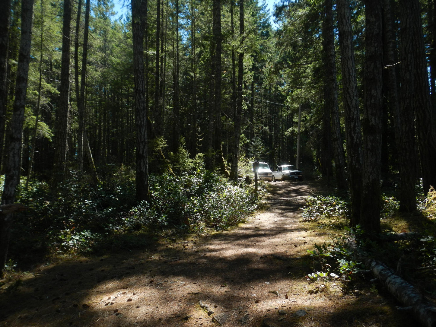 Geniune Cute y2k aesthetic digicam Nikon Coolpix AW 100 waterproof camera with beaded strap PreOwned