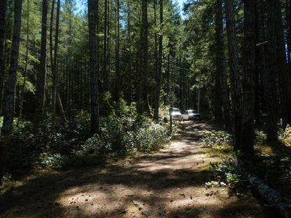 Geniune Cute y2k aesthetic digicam Nikon Coolpix AW 100 waterproof camera with beaded strap PreOwned