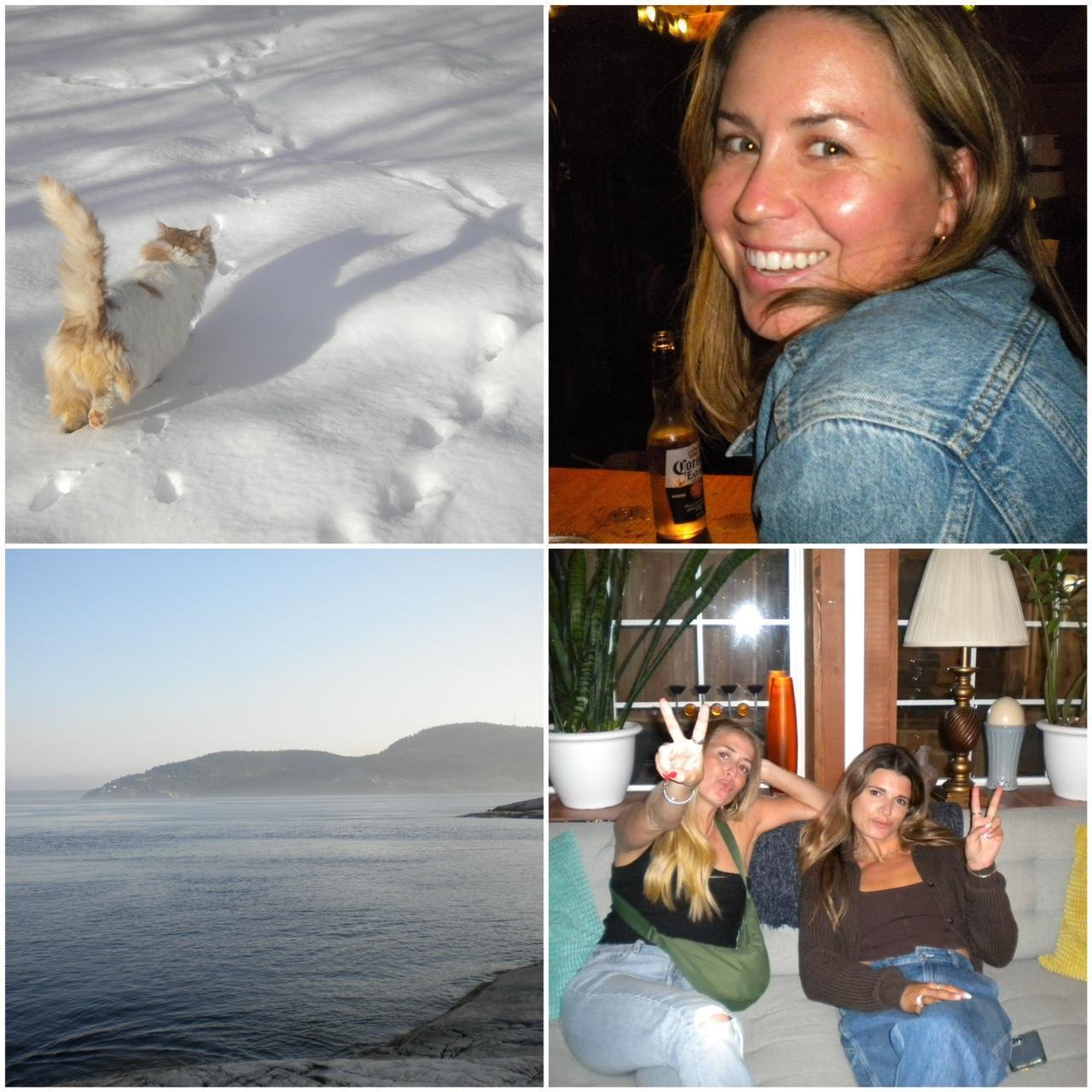 Geniune Pre-Owend Nikon Coolpix S220 Plum Digital Camera