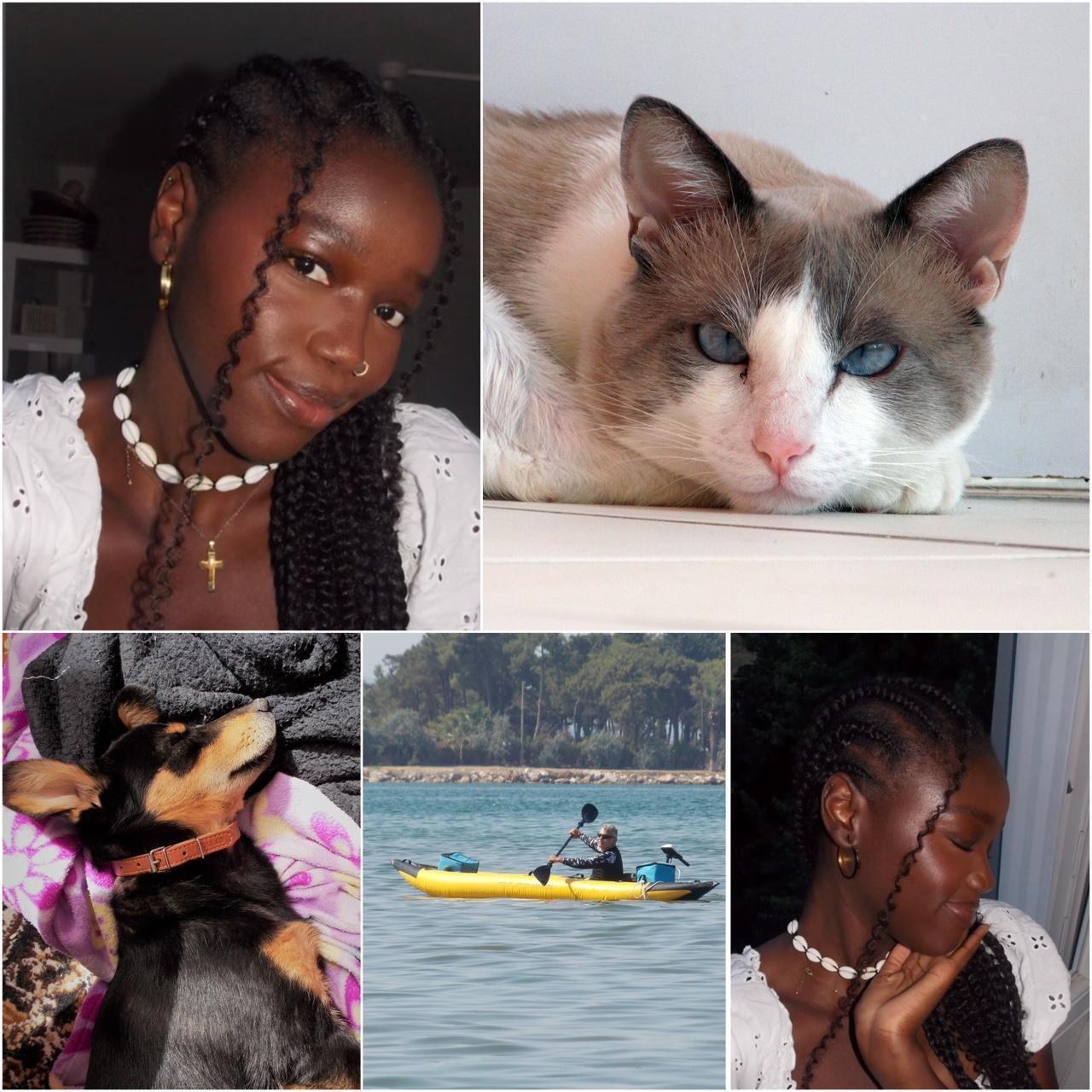 Geniune Pre-Owend Nikon Coolpix L810 Digital Camera